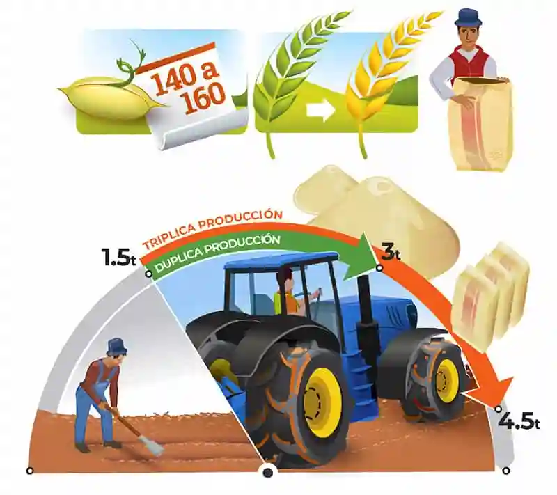 Infografías para temas técnico-agrícolas.
