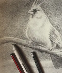 imagen que muestra el dibujo artístico de un ave posado en una rama, junto con los lápices usados. De la web www.duduromeroa.com, Guayaquil, Ecuador.