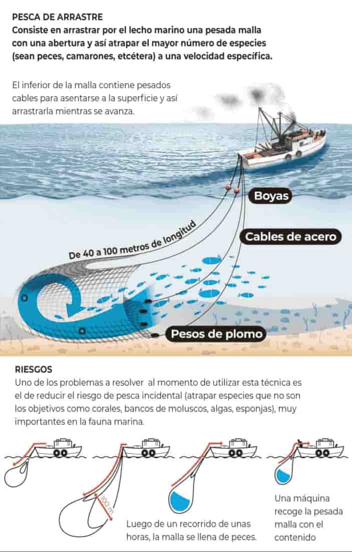 Autor: duduromeroa@. Gráfico a color. Infografía. Explicación gráfica de la pesca de arrastre en mar ecuatoriano. Eduardo J. Romero Andrade. Guayaquil, Ecuador.